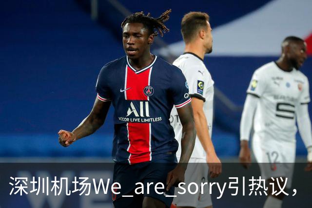 深圳机场We are sorry引热议，网友：sorry听800遍了